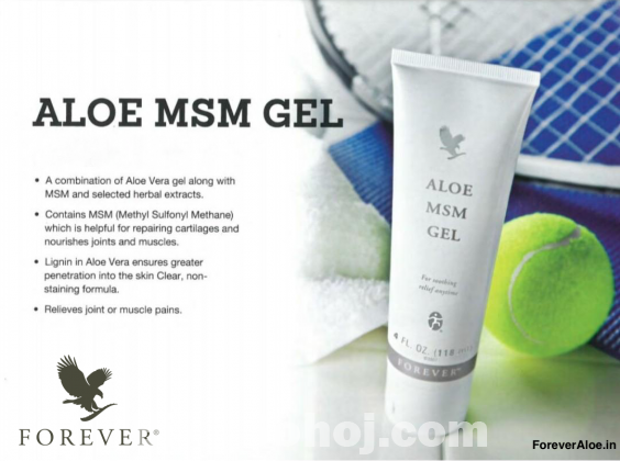 Aloe Msm Gel